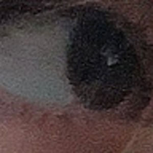 Meet your Posher, Sylvia